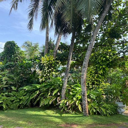 Lohas Beach Resort Villa Kalutara Exteriér fotografie