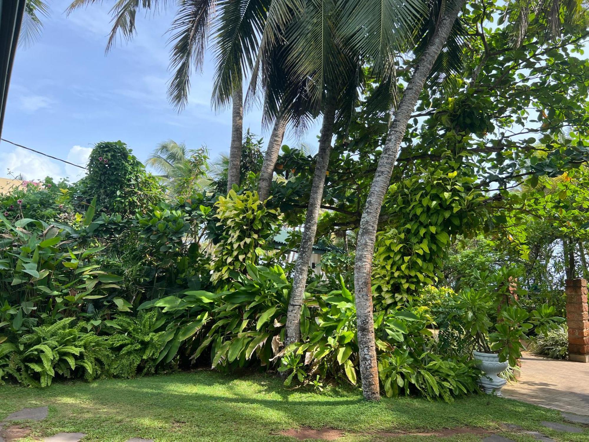 Lohas Beach Resort Villa Kalutara Exteriér fotografie
