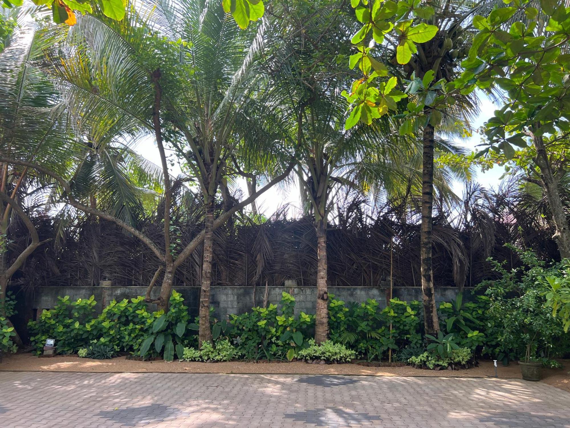 Lohas Beach Resort Villa Kalutara Exteriér fotografie