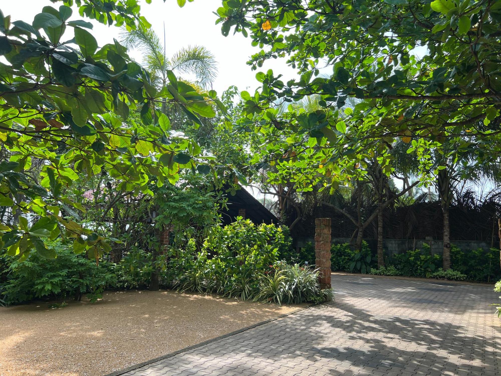Lohas Beach Resort Villa Kalutara Exteriér fotografie