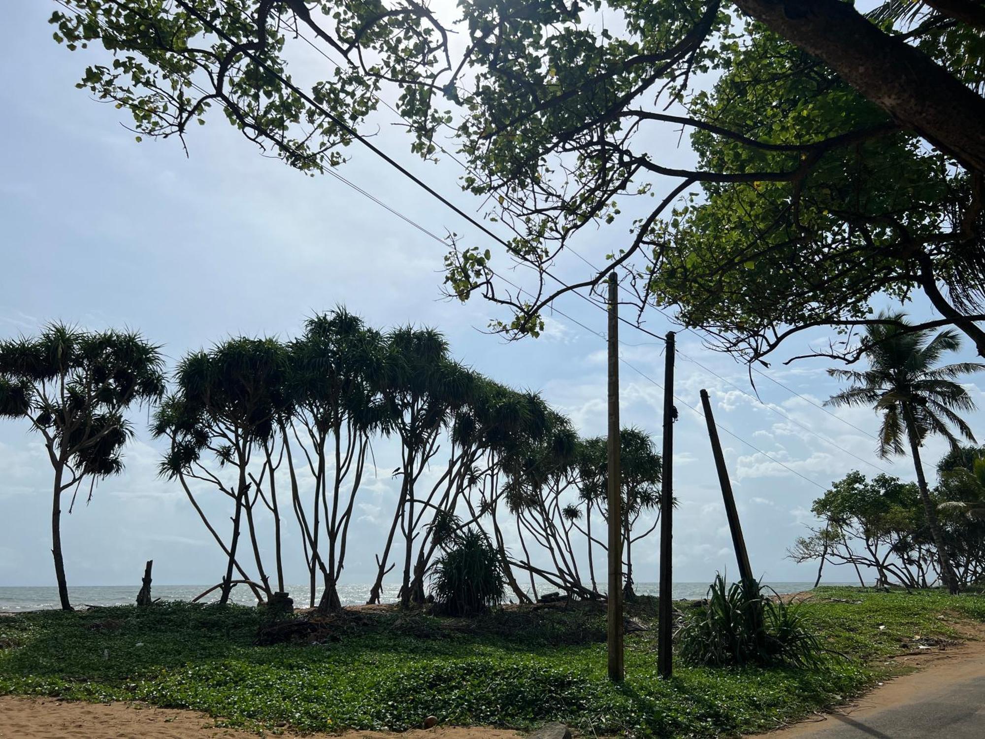 Lohas Beach Resort Villa Kalutara Exteriér fotografie